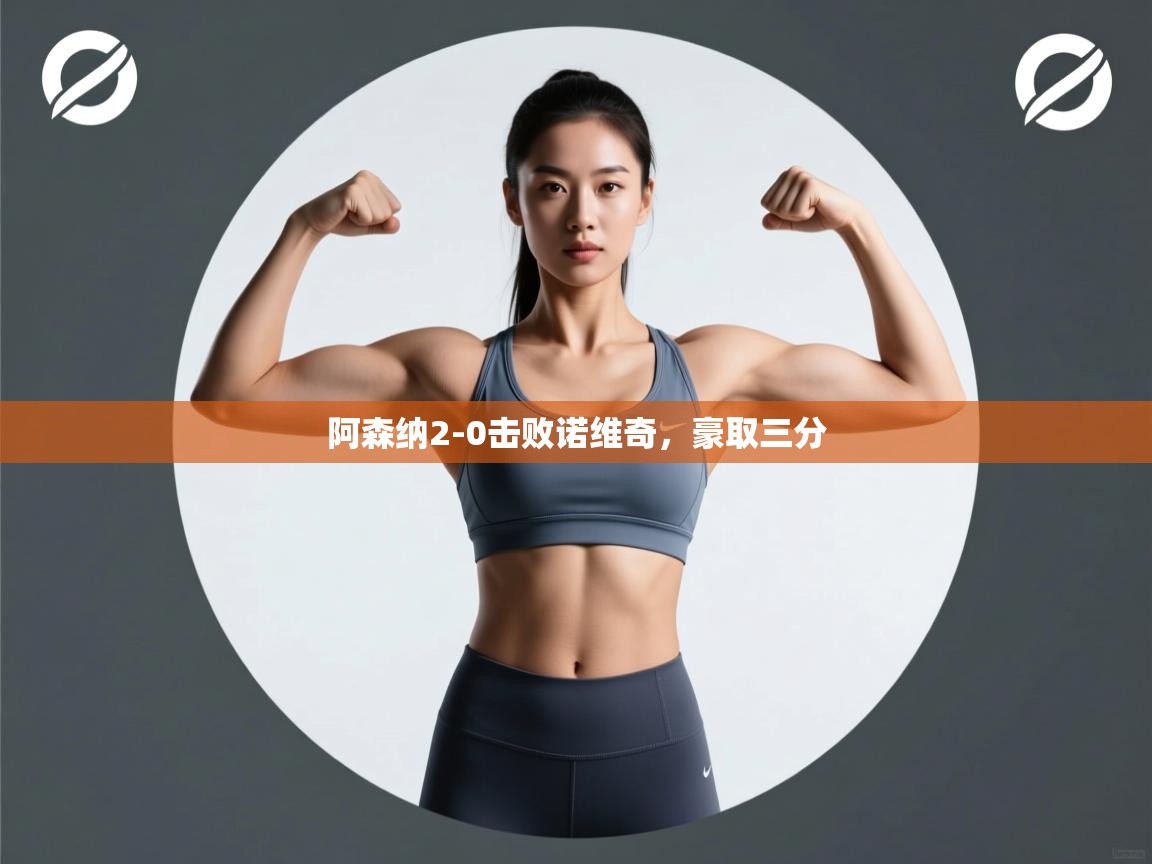 开云体育赛程表查询-阿森纳2-0击败诺维奇，豪取三分