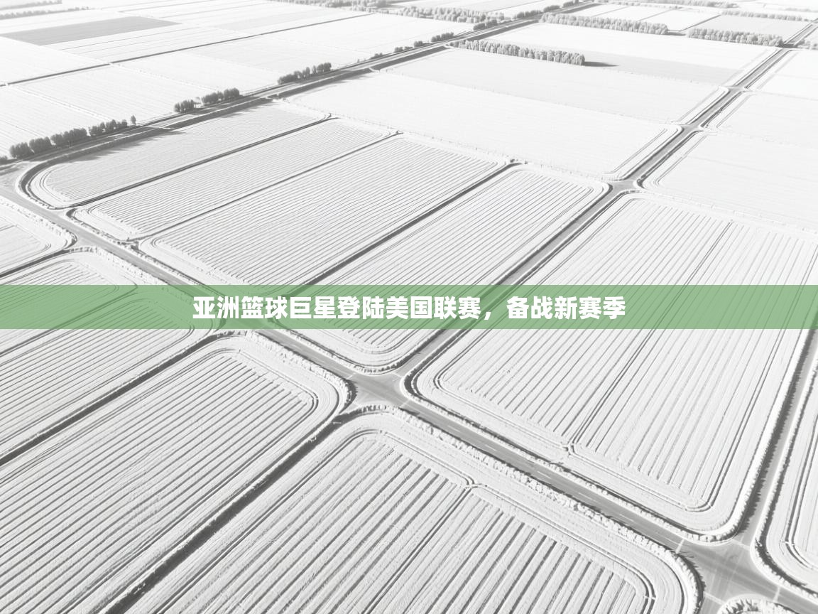 云开体育app网页版入口-亚洲篮球巨星登陆美国联赛,备战新赛季 第2张