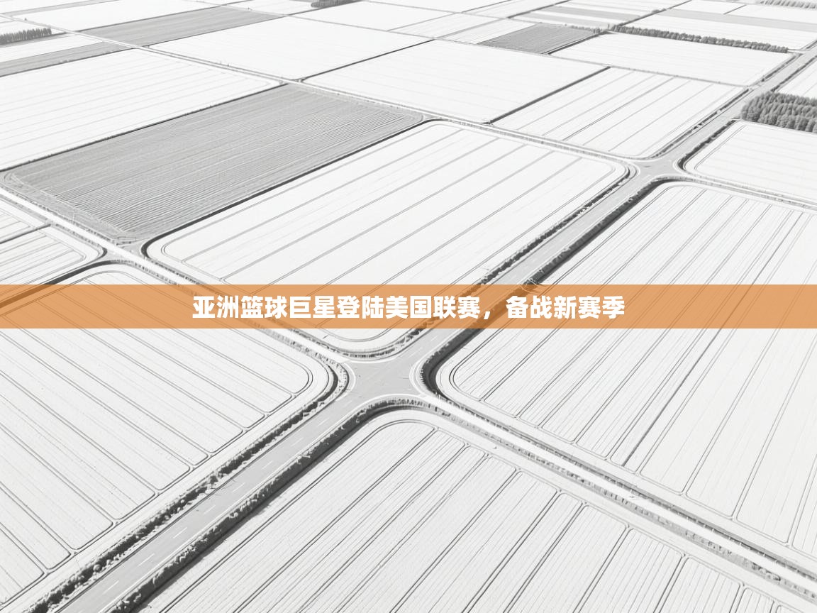 云开体育app网页版入口-亚洲篮球巨星登陆美国联赛,备战新赛季 第3张