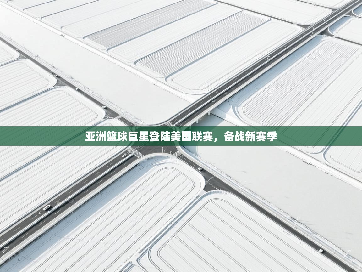 云开体育app网页版入口-亚洲篮球巨星登陆美国联赛,备战新赛季 第4张